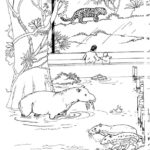 Raskrasil.com-Zoo-Coloring-Pages-36