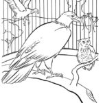 Raskrasil.com-Zoo-Coloring-Pages-37