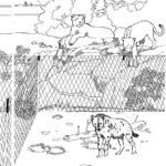 Raskrasil.com-Zoo-Coloring-Pages-41