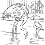 Raskrasil.com-Zoo-Coloring-Pages-45