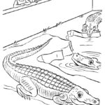 Raskrasil.com-Zoo-Coloring-Pages-46