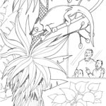 Raskrasil.com-Zoo-Coloring-Pages-49