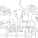 Raskrasil.com-Zoo-Coloring-Pages-53