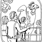 Raskrasil.com-Zoo-Coloring-Pages-62