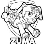Raskrasil.com-Zuma-Paw-Patrol-coloring-pages-1