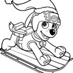 Raskrasil.com-Zuma-Paw-Patrol-coloring-pages-16