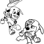 Raskrasil.com-Zuma-Paw-Patrol-coloring-pages-17