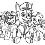 Raskrasil.com-Zuma-Paw-Patrol-coloring-pages-18