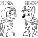 Raskrasil.com-Zuma-Paw-Patrol-coloring-pages-2