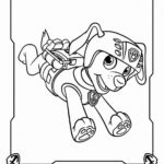 Raskrasil.com-Zuma-Paw-Patrol-coloring-pages-21