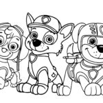 Raskrasil.com-Zuma-Paw-Patrol-coloring-pages-24