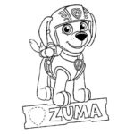 Raskrasil.com-Zuma-Paw-Patrol-coloring-pages-3