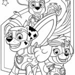 Raskrasil.com-Zuma-Paw-Patrol-coloring-pages-31