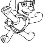 Raskrasil.com-Zuma-Paw-Patrol-coloring-pages-38