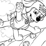 Raskrasil.com-Zuma-Paw-Patrol-coloring-pages-43