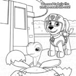 Raskrasil.com-Zuma-Paw-Patrol-coloring-pages-46