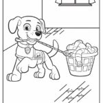 Raskrasil.com-Zuma-Paw-Patrol-coloring-pages-50