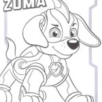 Raskrasil.com-Zuma-Paw-Patrol-coloring-pages-54
