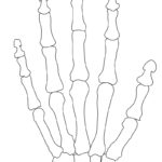 Previous Attachment