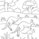 Raskrasil.com-Australian-Animals-Colouring-Pages-10