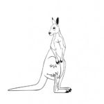 Raskrasil.com-Australian-Animals-Colouring-Pages-11