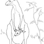 Raskrasil.com-Australian-Animals-Colouring-Pages-14
