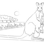 Raskrasil.com-Australian-Animals-Colouring-Pages-17