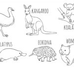 Raskrasil.com-Australian-Animals-Colouring-Pages-21