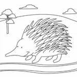 Raskrasil.com-Australian-Animals-Colouring-Pages-25