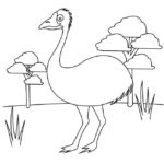 Raskrasil.com-Australian-Animals-Colouring-Pages-29