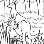 Raskrasil.com-Australian-Animals-Colouring-Pages-3