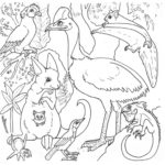 Raskrasil.com-Australian-Animals-Colouring-Pages-37