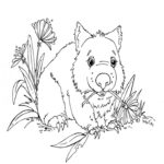 Raskrasil.com-Australian-Animals-Colouring-Pages-38