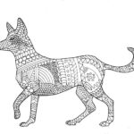 Raskrasil.com-Australian-Animals-Colouring-Pages-46