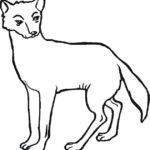 Raskrasil.com-Australian-Animals-Colouring-Pages-54