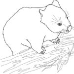 Raskrasil.com-Australian-Animals-Colouring-Pages-56