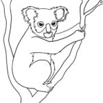 Raskrasil.com-Australian-Animals-Colouring-Pages-59
