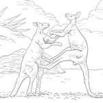 Raskrasil.com-Australian-Animals-Colouring-Pages-6
