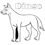 Raskrasil.com-Australian-Animals-Colouring-Pages-66