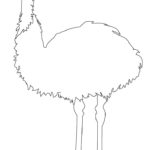Raskrasil.com-Australian-Animals-Colouring-Pages-68