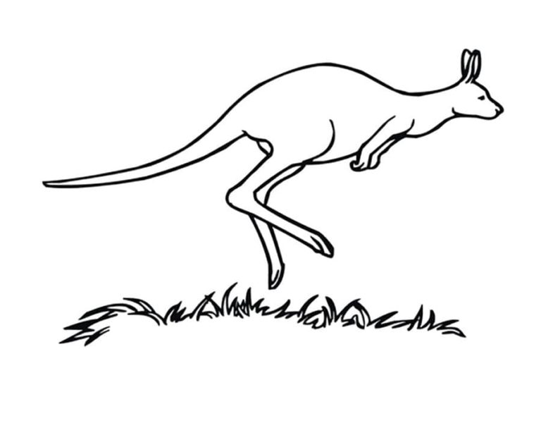 Dibujos de Animales de Australia para Colorear