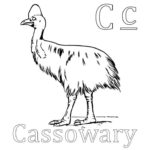 Previous Attachment