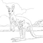 Raskrasil.com-Australian-Animals-Colouring-Pages-8