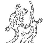 Raskrasil.com-Australian-Animals-Colouring-Pages-90