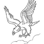 Raskrasil.com-Bald-Eagle-Coloring-Pages-11