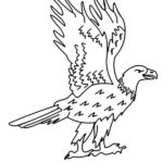 Raskrasil.com-Bald-Eagle-Coloring-Pages-12