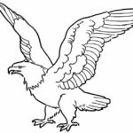 Raskrasil.com-Bald-Eagle-Coloring-Pages-14