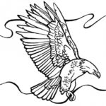 Raskrasil.com-Bald-Eagle-Coloring-Pages-16