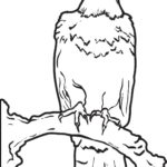 Raskrasil.com-Bald-Eagle-Coloring-Pages-20