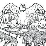 Raskrasil.com-Bald-Eagle-Coloring-Pages-26